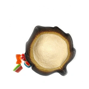 Halal kosher certificate food additive edible beef gelatin from China